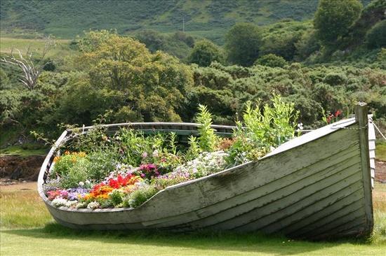 Sailing in garden.