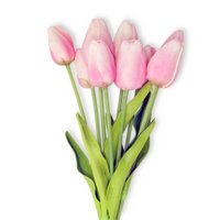 pink tulips