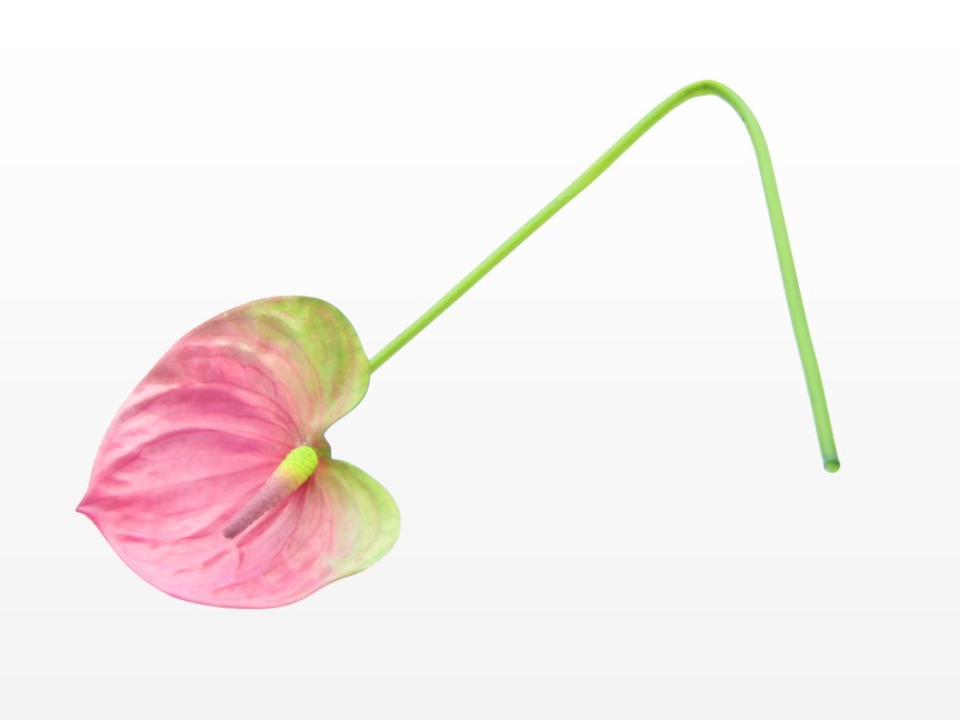 Artificial Flower, Flexible Stem