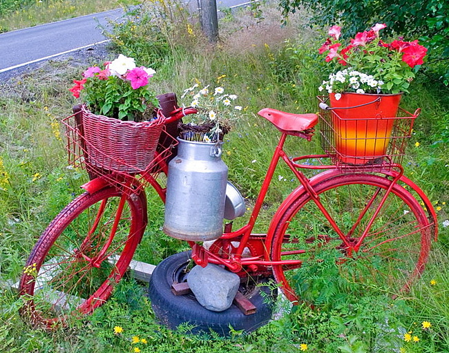 Pink bicycle in garden