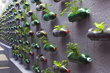 Plastic bottles for garden