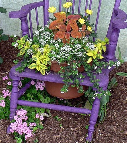 Old wooden chair for potted plant and trailing plants.