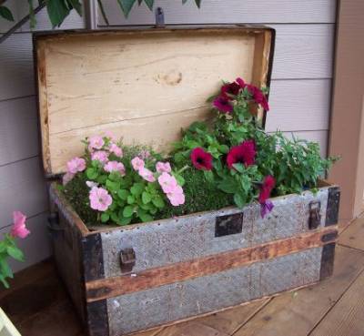 Old chest is a great place for a blooming treasure!