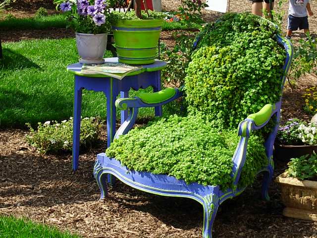 Chair in garden