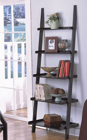 Ladder Bookshelf