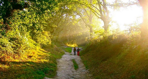 Camino de Santiago stunning scenery