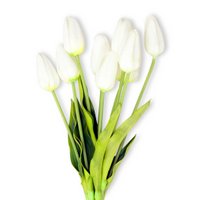 white tulips