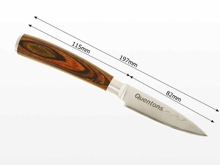 paring knife, damascus blade