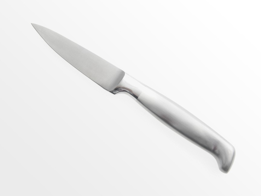 Steel paring knife