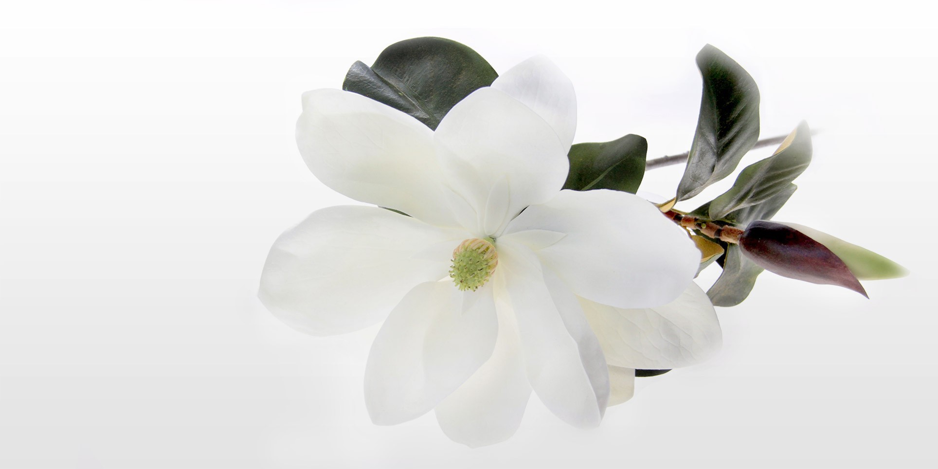 Artificial White Magnolia