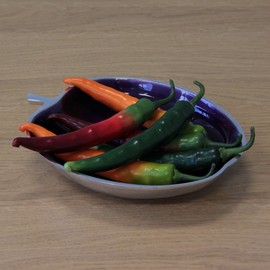Set of Artificial Peppers