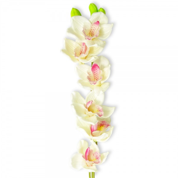 Artificial Cymbidium orchid (puttyroot) - Cream