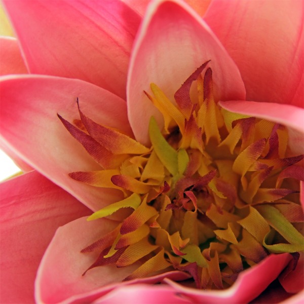Artificial Water Lily - Fuchsia Pink