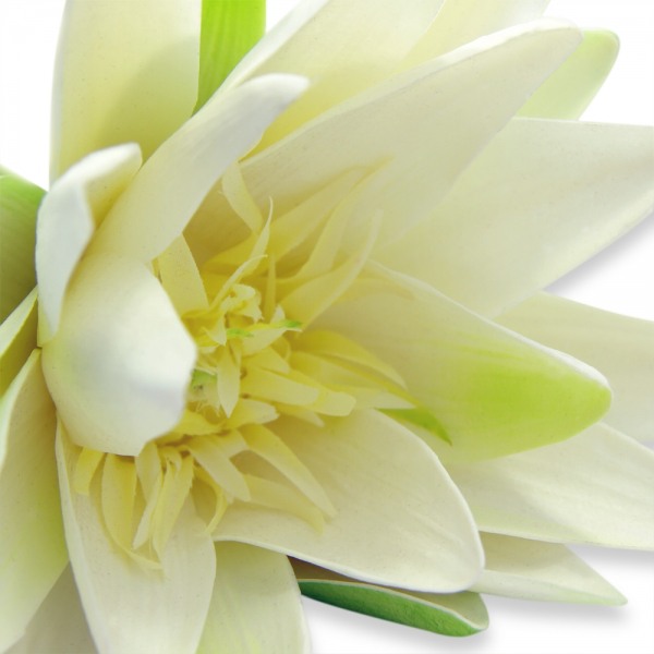 Artificial Water Lily - White
