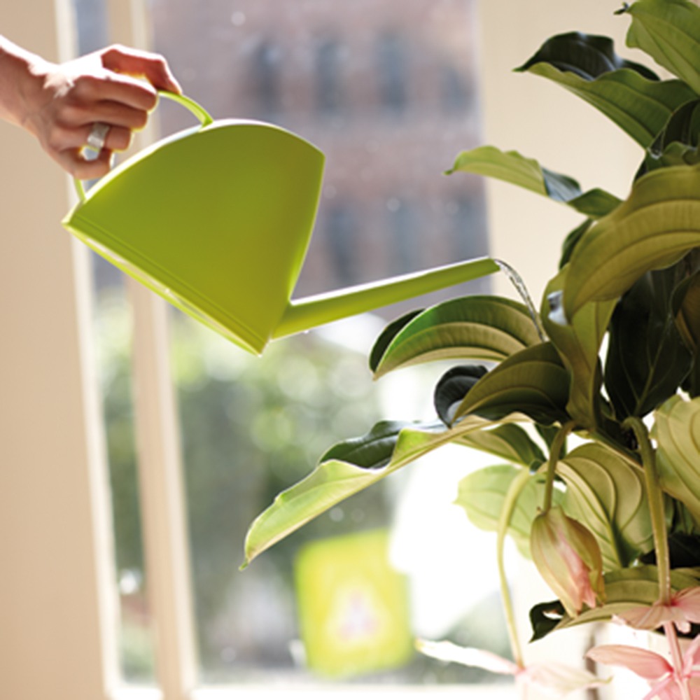 Watering Can